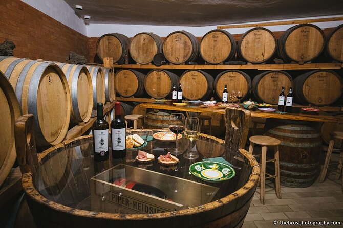 2-hour tasting of 5 wines in Sorrento - Who should book this wine tasting in Sorrento