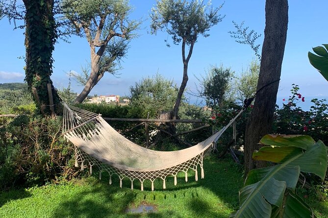 4 Days South Italy Trip - Amazing Experience in Sorrento & Amalfi Coast - Is the $1,550 Price Tag Worth It?