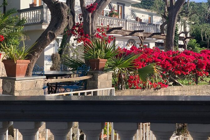 4 Days South Italy Trip - Amazing Experience in Sorrento & Amalfi Coast - Who This Small-Group Sorrento and Amalfi Package Suits