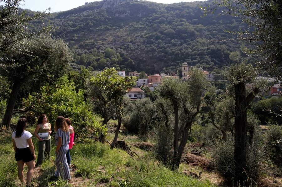 5 Wine Tastings with Typical Products in Sorrento Coast - Who This Sorrento Coast Tasting Fits Best