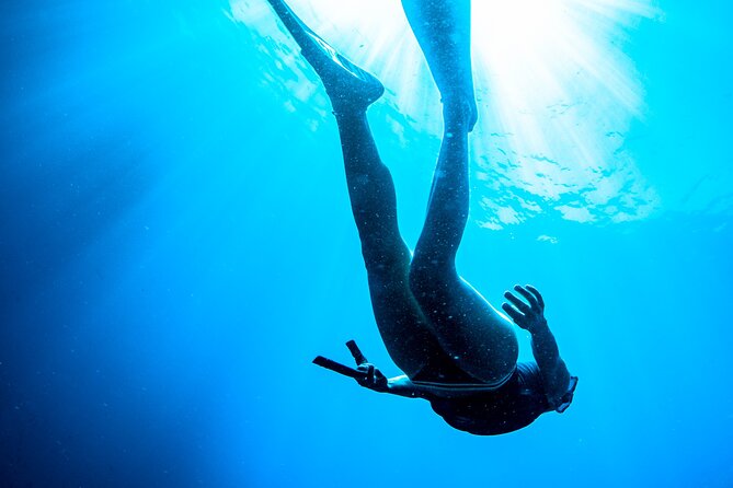 Afternoon snorkelling guided by a marine biologist in Sorrento - Your 3:00 pm Plan: How the Afternoon Flows
