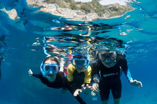 Afternoon snorkelling guided by a marine biologist in Sorrento - What the Marine Biologist Teaches While You Snorkel