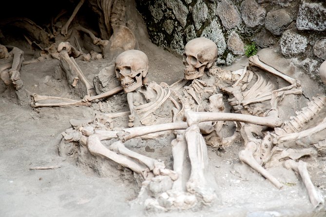 All inclusive Herculaneum Skip the Line Tour From Sorrento - Skip-the-Line Entry at the Archaeological Park (and Why It Matters)