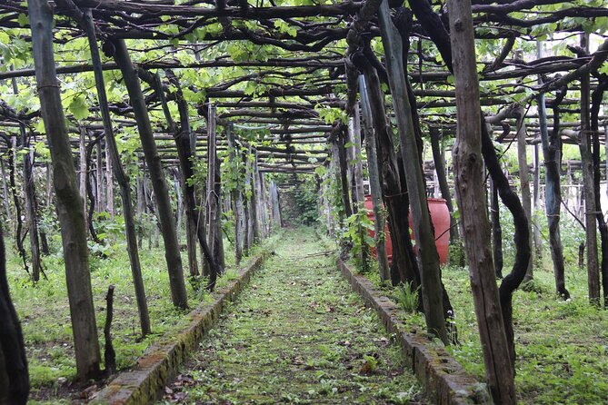 Amalfi Coast Day Tour: Positano, Amalfi & Ravello from Sorrento - Amalfi: The Cathedral Stop and the Seaside Break