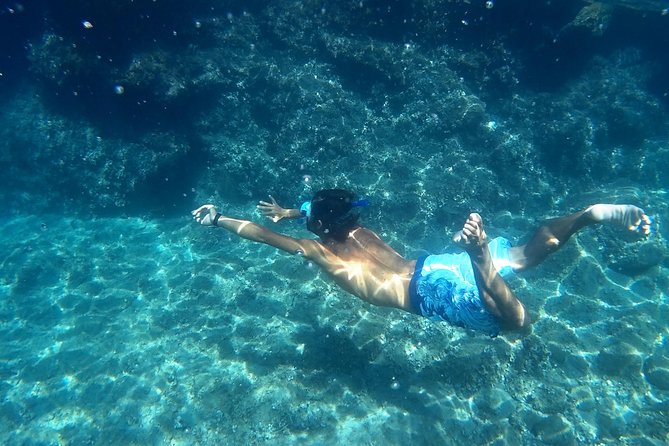Amalfi Coast Kayak Tours from Marina del Cantone - Marina del Cantone Start: Worth the trip from Sorrento