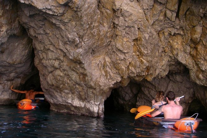 Amalfi Coast Kayak Tours from Marina del Cantone - Price and value: what about $90.74 buys you