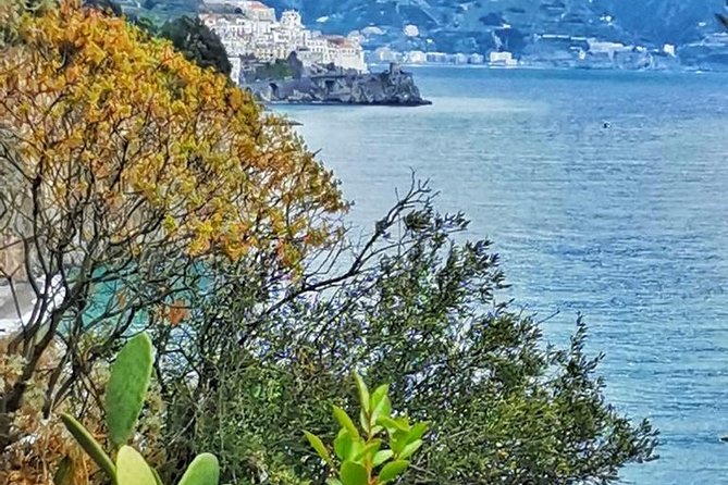 Amalfi Coast Private Tour from Sorrento: Exclusive Mercedes Van - The Best Part: Your Driver Helps You Spend Time Better