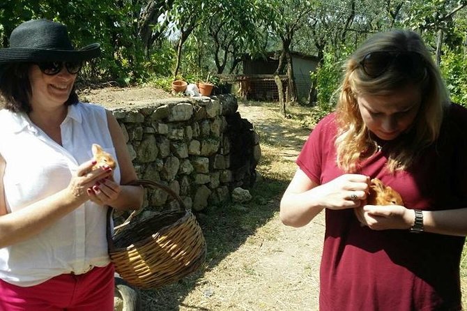 Amalfi Coast & Sorrento Cooking Class School at Farmhouse - The Amalfi Coast Menu: What You’ll Cook and Why It Changes
