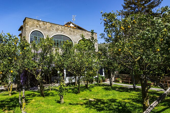 Backroads & Limoncello Experience: Sorrento E-Bike Tour - Key highlights you should care about