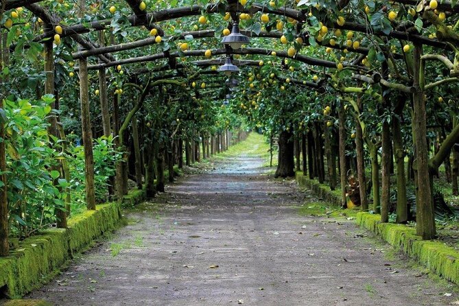 Backroads & Limoncello Experience: Sorrento E-Bike Tour - What to expect from the meeting point and route timing