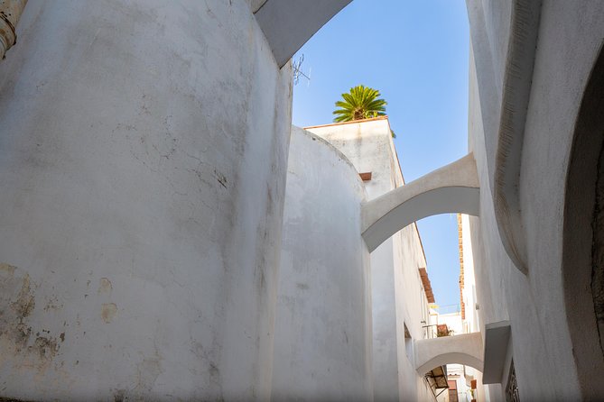 Capri and Blue Grotto Day Tour from Naples or Sorrento - Jetfoil to Capri, then an island day built on time blocks
