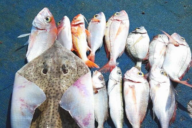 Capri Fishing Excursion with Snorkeling and Lunch from Sorrento - Why This Capri Fishing Excursion Feels More Authentic Than a Typical Boat Day