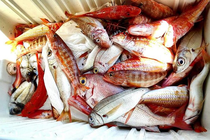 Capri Fishing Excursion with Snorkeling and Lunch from Sorrento - Should You Book This Capri Fishing and Snorkeling Tour?