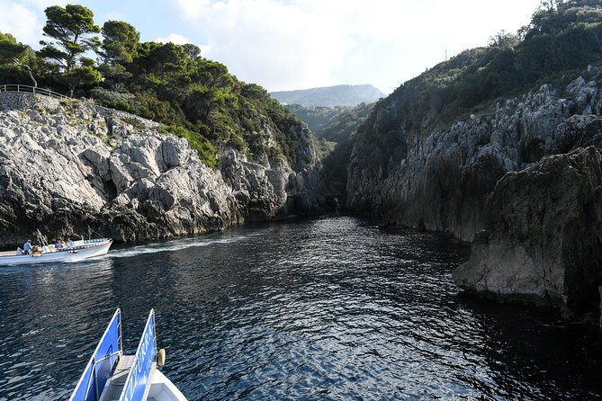 Capri One Day: Visit the Island by Sea and Land with Blue Grotto - Price and value: what you really pay for at about $90.51
