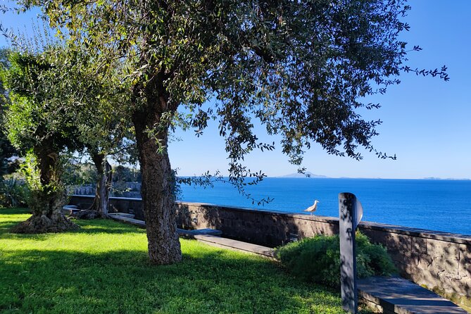 Car Tour admiring Capri and visiting Positano - Stop 2: Marina della Lobra, a real fishing village stop