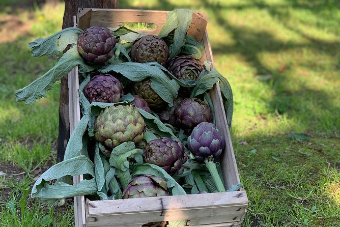Cook and Eat in a Citrus Grove in Sorrento - What you’ll actually cook: dough, parmigiana, and more