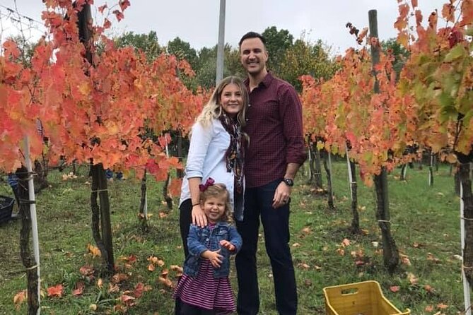 Cortecorbo Irpinia-wines: tour of the vineyards- Cooking class- wine tasting - The day’s rhythm from Sorrento: transport matters more than you think