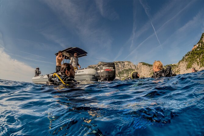 Discover Scuba Diving PADI - Trial dive in Sorrento - Price and Value: Is $175.96 Fair for a 2.5-Hour Trial?