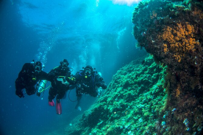 Discover Scuba Diving PADI - Trial dive in Sorrento - Choosing Your “First Time” Mood: Beginner-Friendly, Not Casual