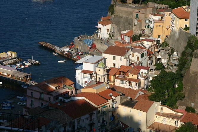 Discover Sorrento with food tasting and walking Tour - Lemon grove lessons: what you learn before you taste