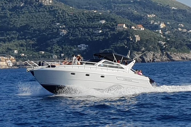 Discover the Amalfi Coast with a private boat tour - Punta Campanella Marine Protected Area: cliffs, protection, and real coast drama