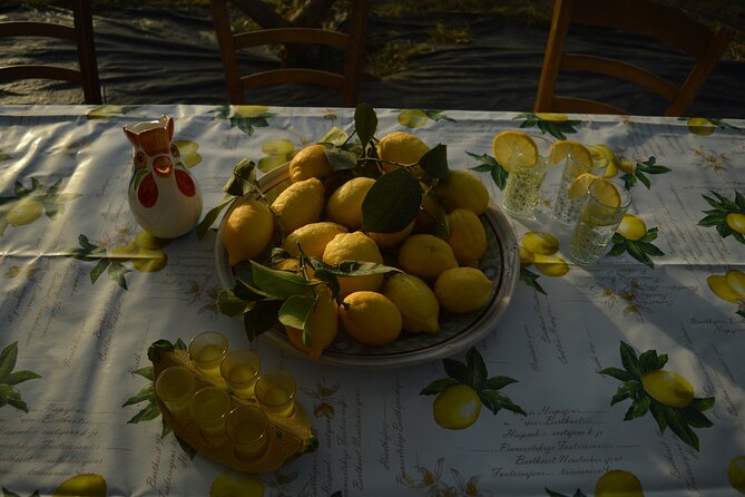 Discovery Tour of Sorrento Lemon in Massa Lubrense - Key Highlights You Should Know Before You Go