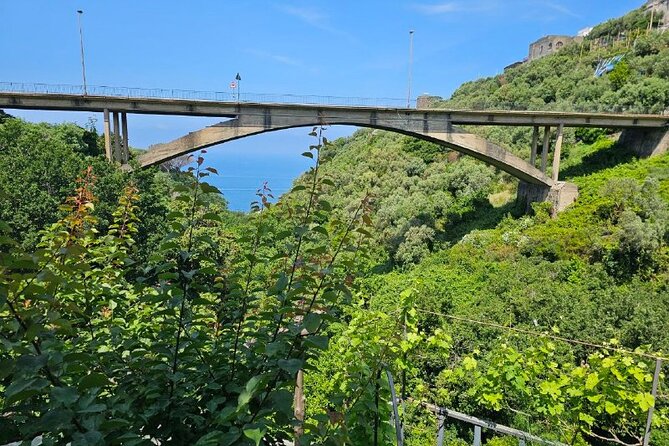 E-Bike Tour in the Sorrento Peninsula and Visit to Acetaia - Price and Value: Is $95.31 Worth Two Hours and Two Food-Scented Stops?