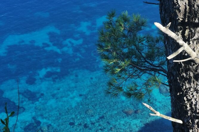 Exclusive Private Boat Tour to capri & Amalfi coast from Sorrento - How to Make the Most of Your Time on Capri and at Sea