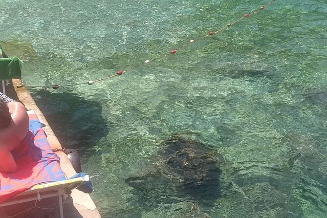 Fabulous Private Capri boat tour from Sorrento - Blue Grotto: worth it, but only if weather cooperates