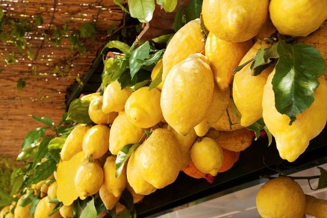 Farm-to-Table Experience: Olive Oil, Garden Tour & Nonna’s Lunch - Who this tour fits best