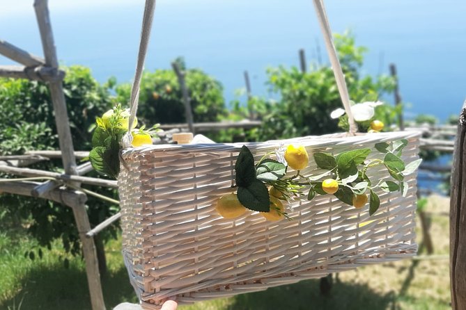 Fifty Shades of Lemon - Conca dei Marini Lemon Yards, Limoncello Production, and the Best Meal Moment