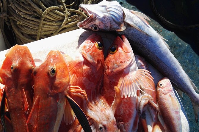 Fishing Experience Around Capri from Sorrento with Lunch Onboard - Onboard Happy Hour and Refreshments While You Wait for Lunch