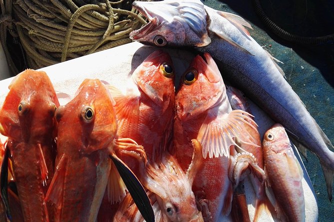 Fishing in the Bay of Sorrento and Capri - Capri free time: about 3 hours to explore at your own pace