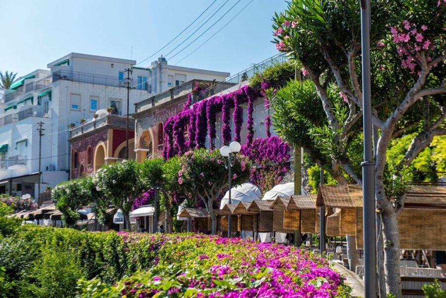 From Sorrento: Capri, Anacapri, & Blue Grotto Full-Day Trip - Practical tips so your day feels smooth