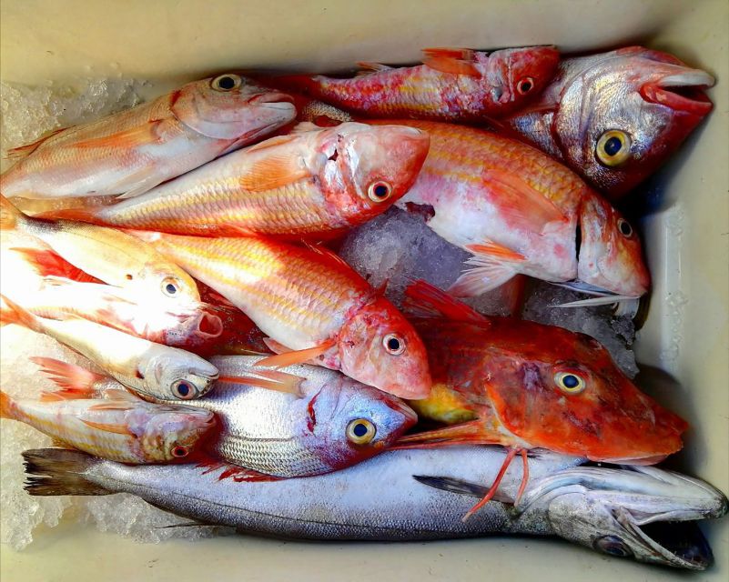 From Sorrento: Fishing in Capri with Lunch - Fishing With Local Tips: What You’ll Actually Learn