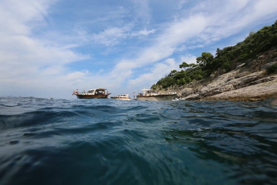 From Sorrento: Full-Day Boat Cruise to Capri - The boat loop you booked for: Faraglioni, grottos, and Punta Carena