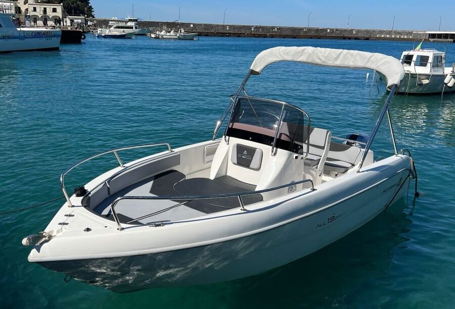 From Sorrento: Full Day Capri Private Boat Trip with Drinks - Quick hits before you book