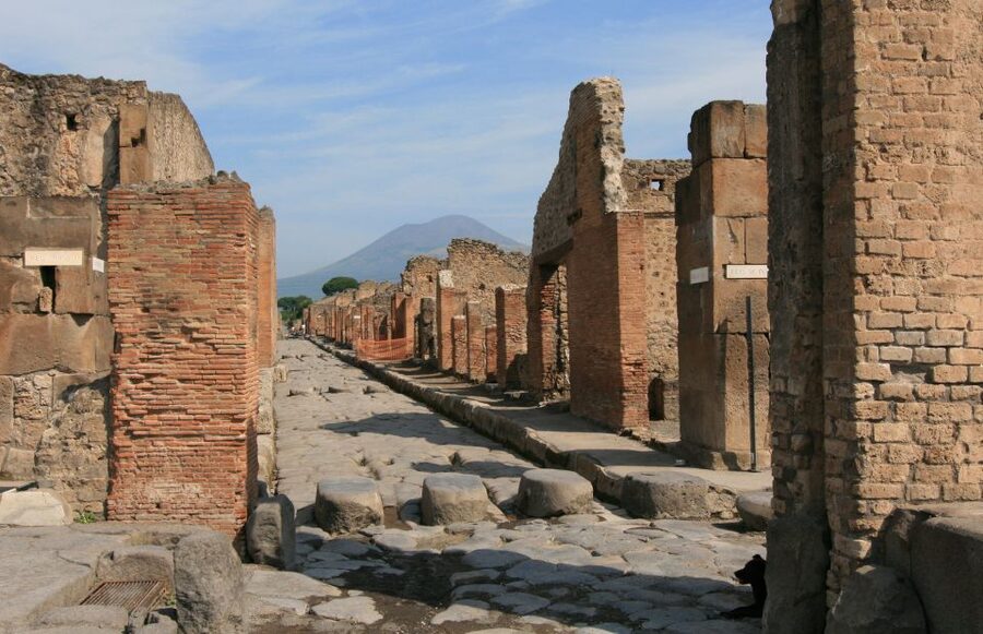 From Sorrento: Herculaneum and Pompeii Group Excursion - Key highlights to know