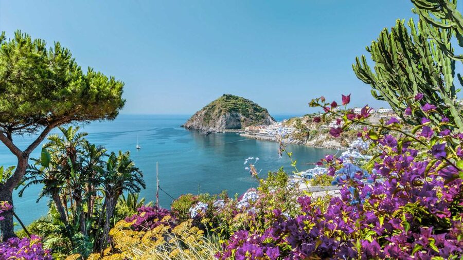 From Sorrento: Ischia and Procida Boat Tour - Swimming and snorkeling breaks: fun water time with one gear catch
