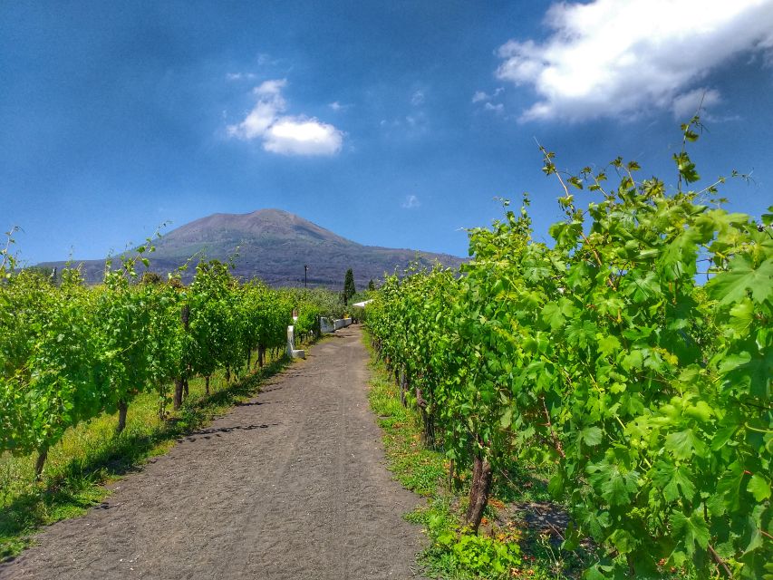 From Sorrento: Mount Vesuvius Tour with Lunch & Wine Tasting - Photography, viewpoints, and the Pompeii connection