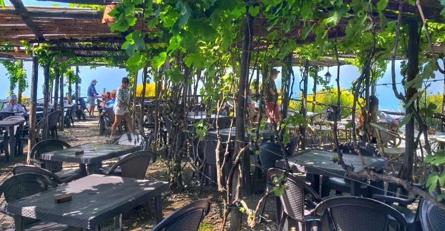 From Sorrento: Mount Vesuvius Tour with Lunch & Wine Tasting - The crater rim hike: doable for many, but treat it like a real climb