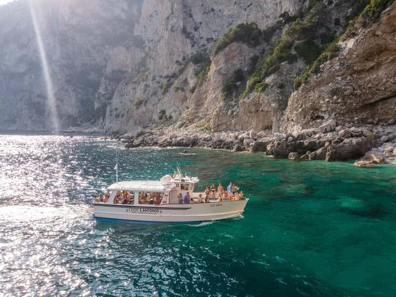 From Sorrento/Nerano: Amalfi and Positano Boat Tour - Amalfi free time: Cathedral and Cloister of Paradise, plus a swim break