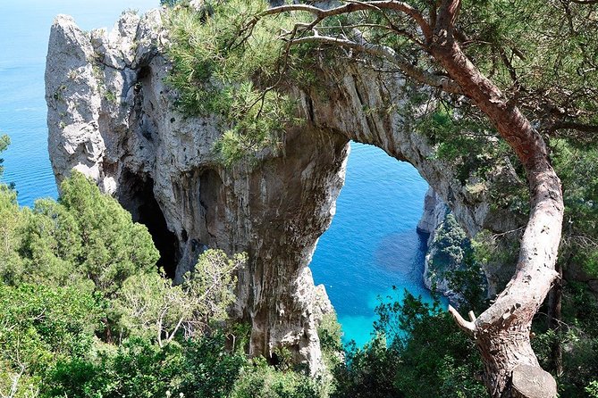 From Sorrento/Nerano: Capri Shared Tour - without pick up - What the group size and format means for your day