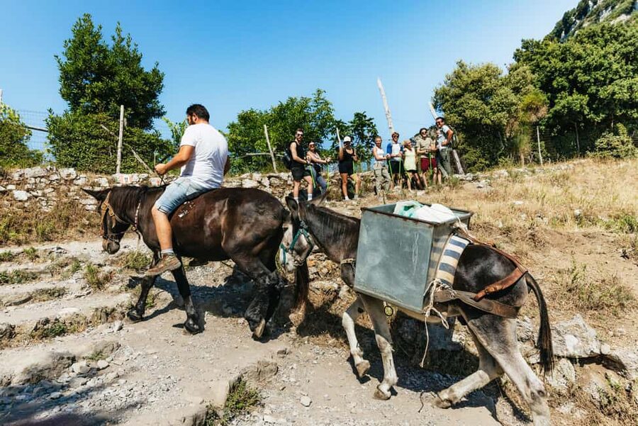 From Sorrento: Path of the Gods Guided Hike with Transfers - The shepherd hut stop: where the hike turns into a story