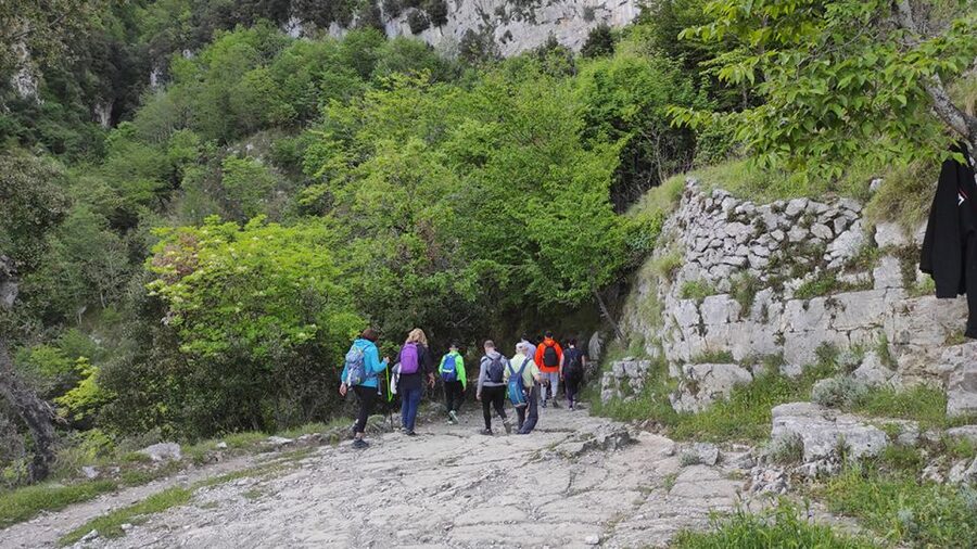 From Sorrento: Path of the Gods Hike with Tasting Stop - Price and Value at About $129: What You Pay For, and Why It’s Fair