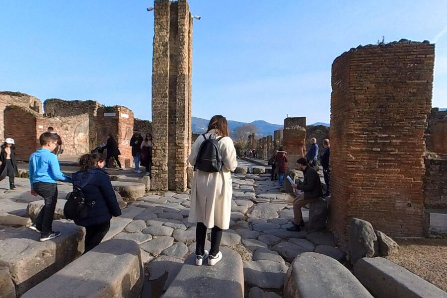 From Sorrento: Pompeii and Vesuvius Guided Tour with Lunch - Key things to know before you go