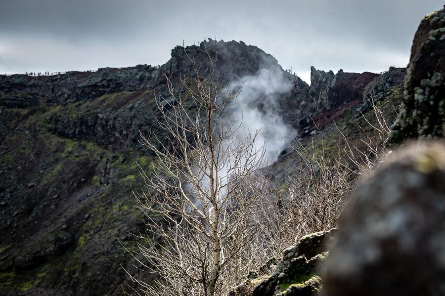 From Sorrento: Pompeii and Vesuvius Guided Tour with Lunch - Lunch on the slopes: Neapolitan pizza with a view