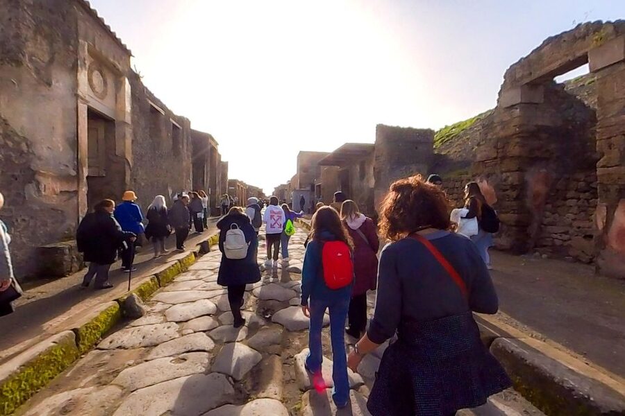 From Sorrento: Pompeii and Vesuvius Guided Tour with Lunch - Pompeii Archaeological Park: guided highlights in a short window
