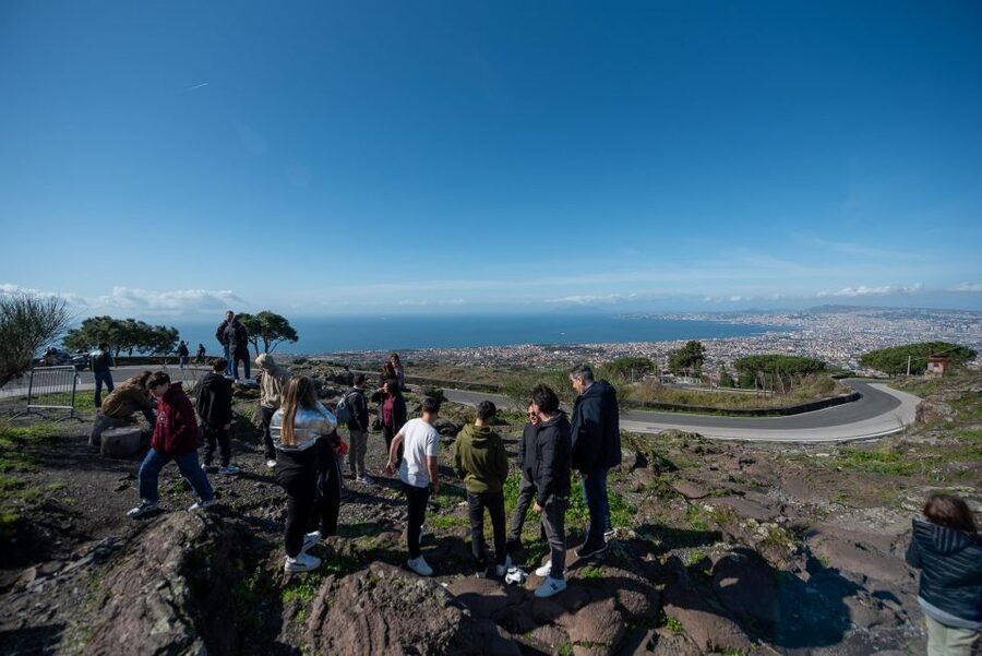 From Sorrento: Pompeii and Vesuvius Guided Tour with Lunch - Who should book, and who should think twice