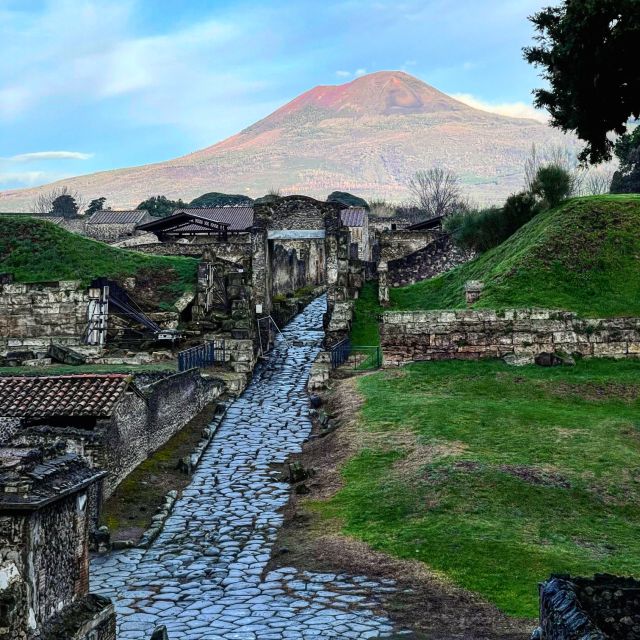 From Sorrento: Pompeii and Vesuvius Skip-the-Line Tour - Pickup and van ride: door-to-door convenience from Sorrento-area towns